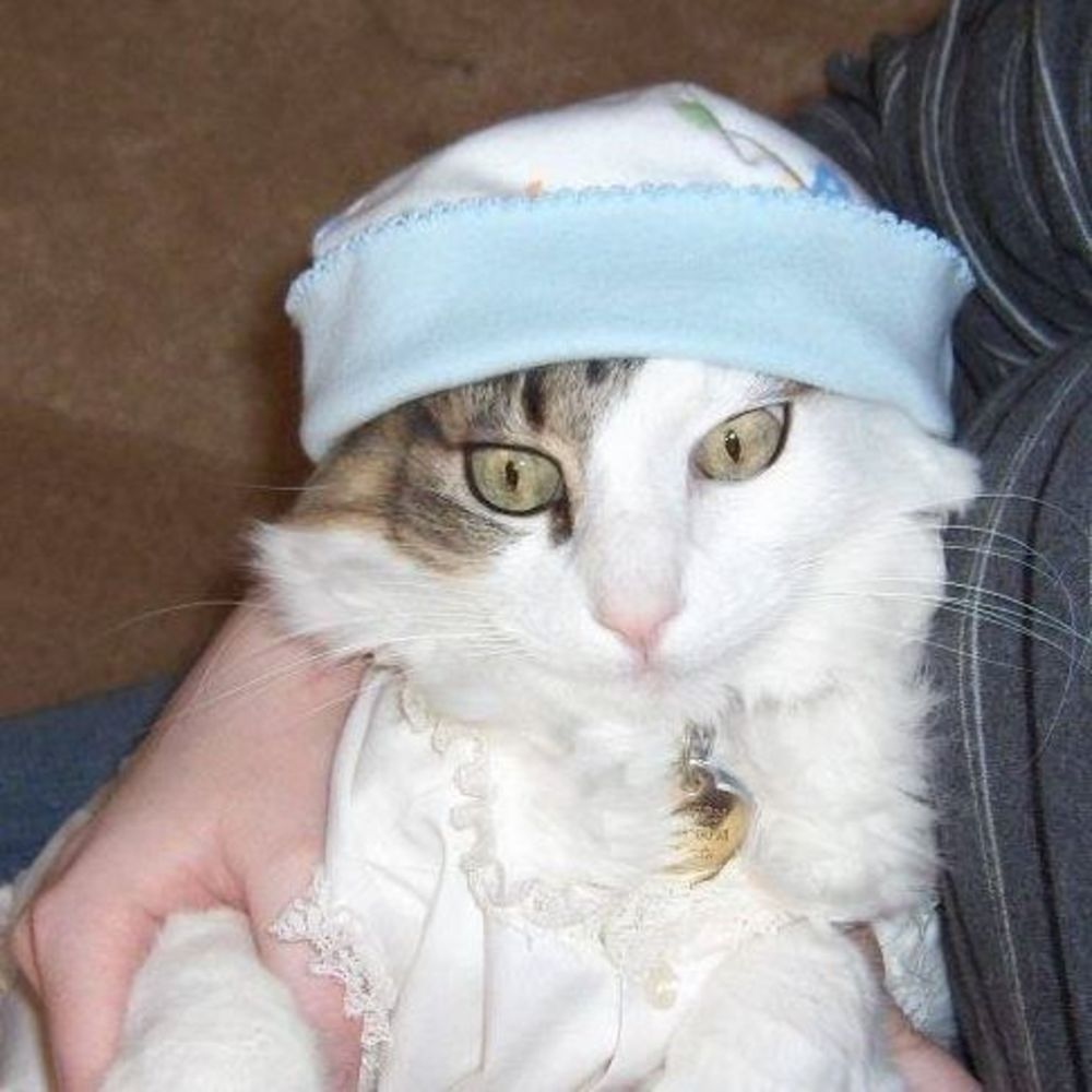 Meet your Posher, Tina